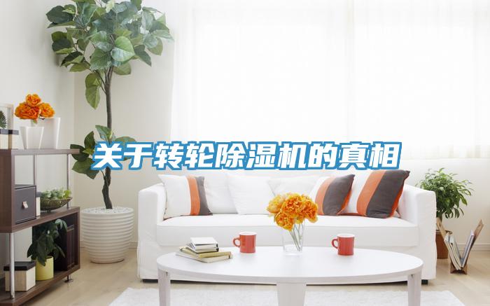 关于转轮蕾丝视频污污污的真相