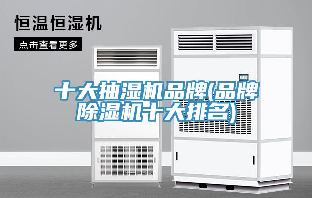 十大抽湿机品牌(品牌蕾丝视频污污污十大排名)