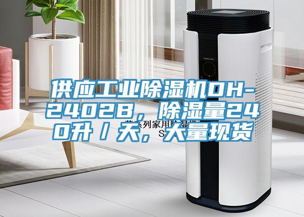 供应工业蕾丝视频污污污DH-2402B，除湿量240升／天，大量现货