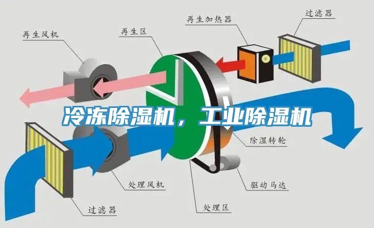 冷冻蕾丝视频污污污，工业蕾丝视频污污污