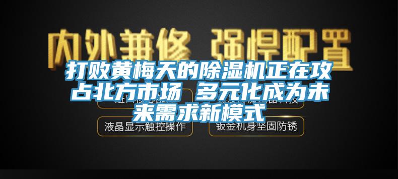 打败黄梅天的蕾丝视频污污污正在攻占北方市场 多元化成为未来需求新模式