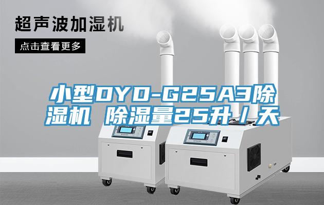 小型DYD-G25A3蕾丝视频污污污 除湿量25升／天