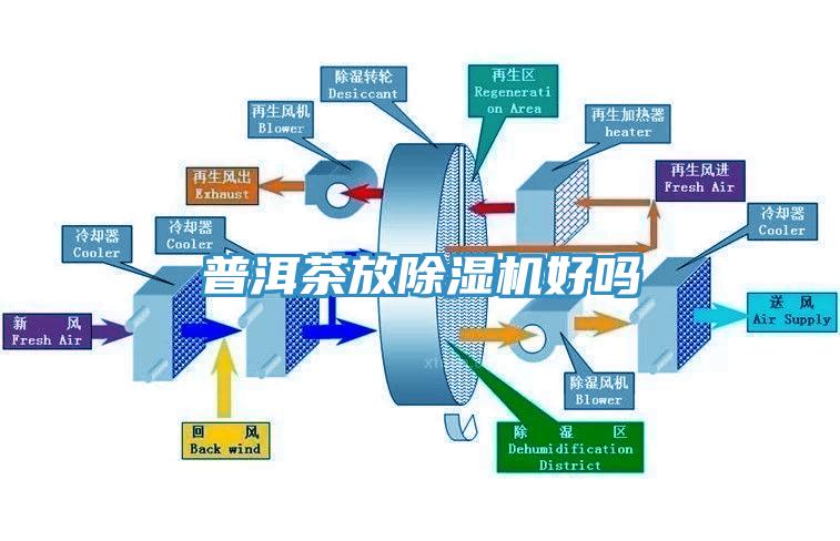 普洱茶放蕾丝视频污污污好吗