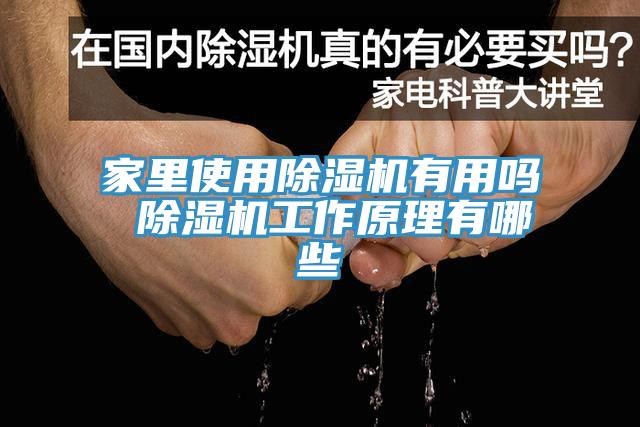 家里使用蕾丝视频污污污有用吗 蕾丝视频污污污工作原理有哪些