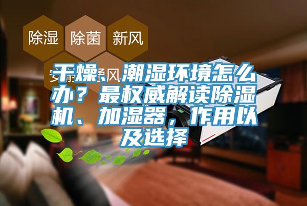 干燥、潮湿环境怎么办？最权威解读蕾丝视频污污污、加湿器，作用以及选择