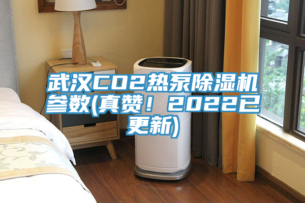 武汉CO2热泵蕾丝视频污污污参数(真赞！2022已更新)