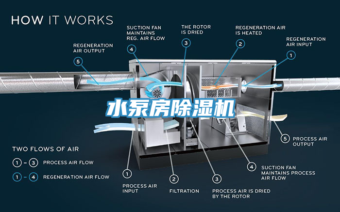 水泵房蕾丝视频污污污