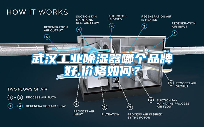 武汉工业除湿器哪个品牌好,价格如何？