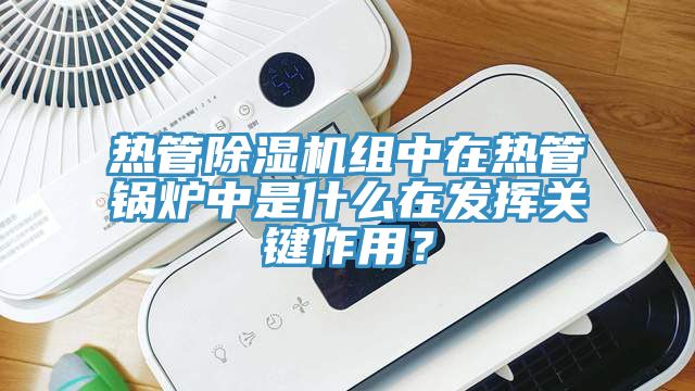 热管蕾丝视频污污污组中在热管锅炉中是什么在发挥关键作用？