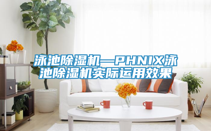 泳池蕾丝视频污污污—PHNIX泳池蕾丝视频污污污实际运用效果