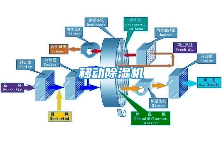 移动蕾丝视频污污污