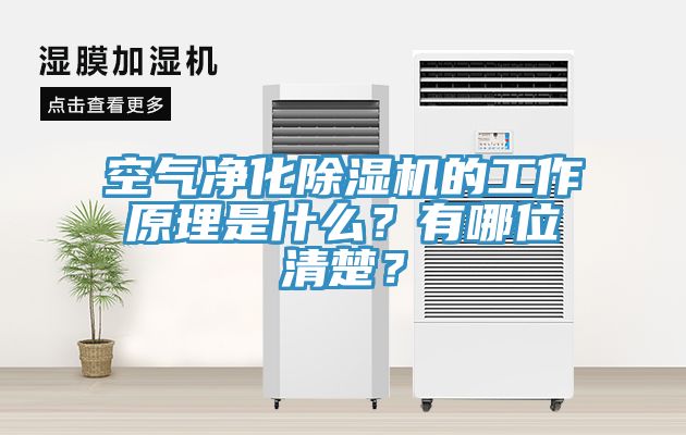 空气净化蕾丝视频污污污的工作原理是什么？有哪位清楚？