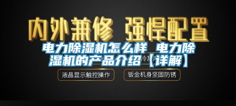 电力蕾丝视频污污污怎么样 电力蕾丝视频污污污的产品介绍【详解】