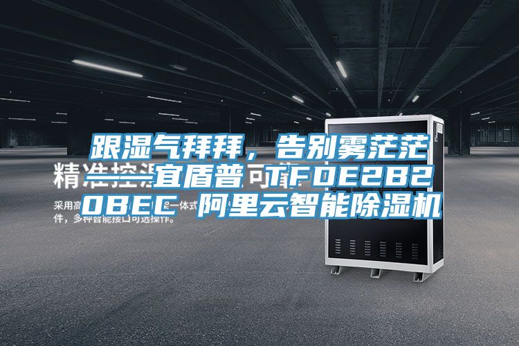 跟湿气拜拜，告别雾茫茫——宜盾普 TFDE2B20BEC 阿里云智能蕾丝视频污污污