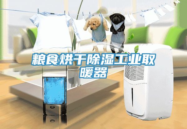 粮食烘干除湿工业取暖器