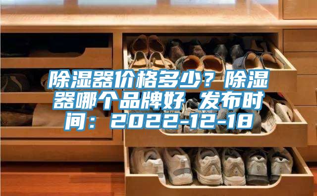 除湿器价格多少？除湿器哪个品牌好 发布时间：2022-12-18