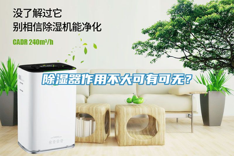 除湿器作用不大可有可无？