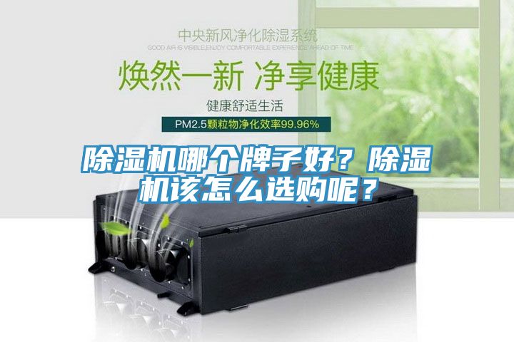 蕾丝视频污污污哪个牌子好？蕾丝视频污污污该怎么选购呢？