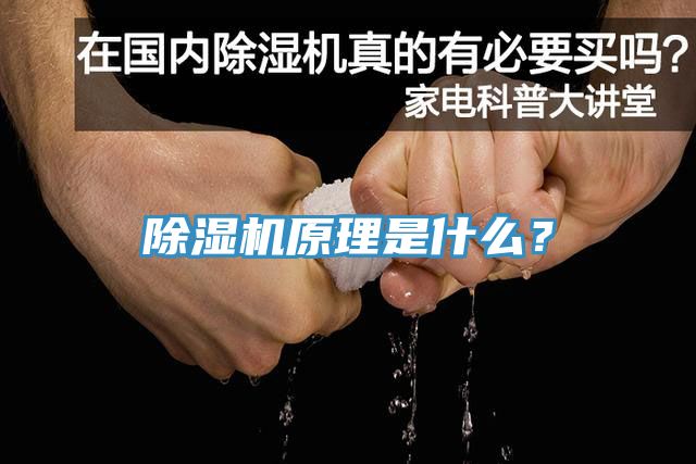 蕾丝视频污污污原理是什么？