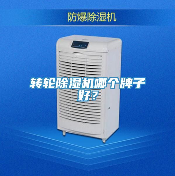 转轮蕾丝视频污污污哪个牌子好？