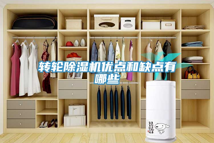 转轮蕾丝视频污污污优点和缺点有哪些