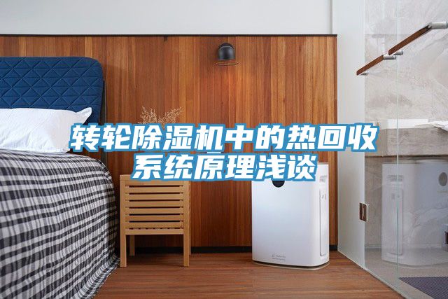 转轮蕾丝视频污污污中的热回收系统原理浅谈