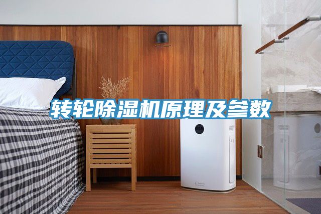 转轮蕾丝视频污污污原理及参数