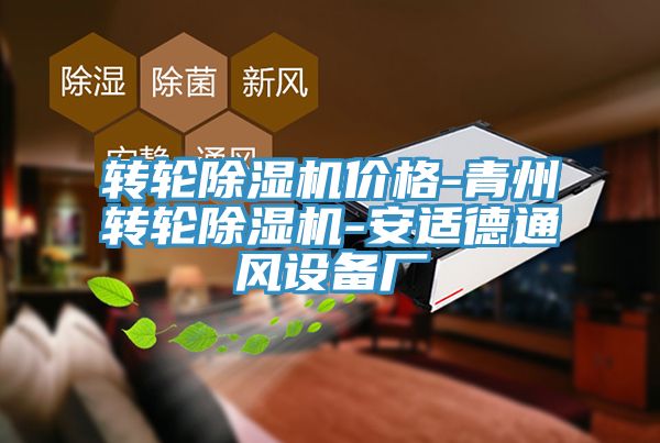 转轮蕾丝视频污污污价格-青州转轮蕾丝视频污污污-安适德通风设备厂
