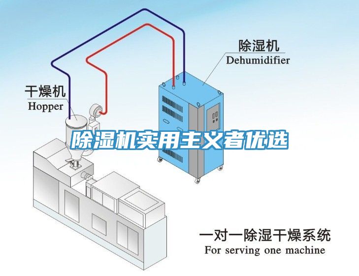 蕾丝视频污污污实用主义者优选