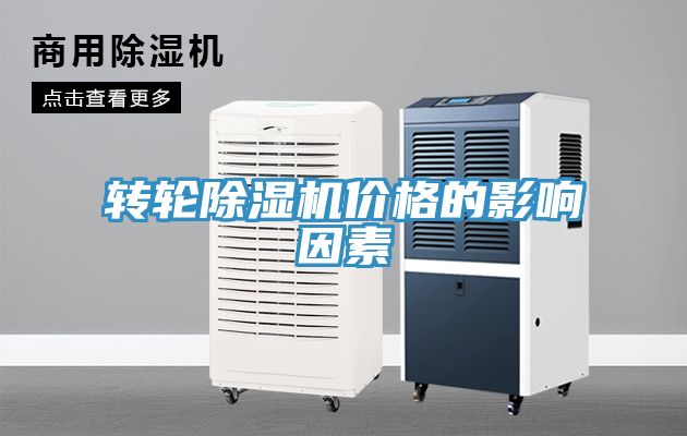 转轮蕾丝视频污污污价格的影响因素