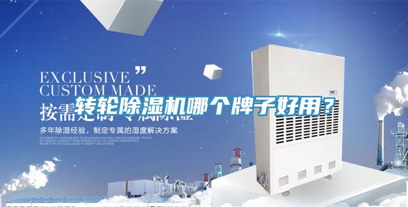 转轮蕾丝视频污污污哪个牌子好用？