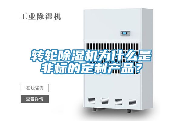 转轮蕾丝视频污污污为什么是非标的定制产品？