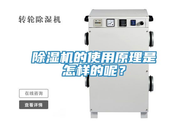 蕾丝视频污污污的使用原理是怎样的呢？