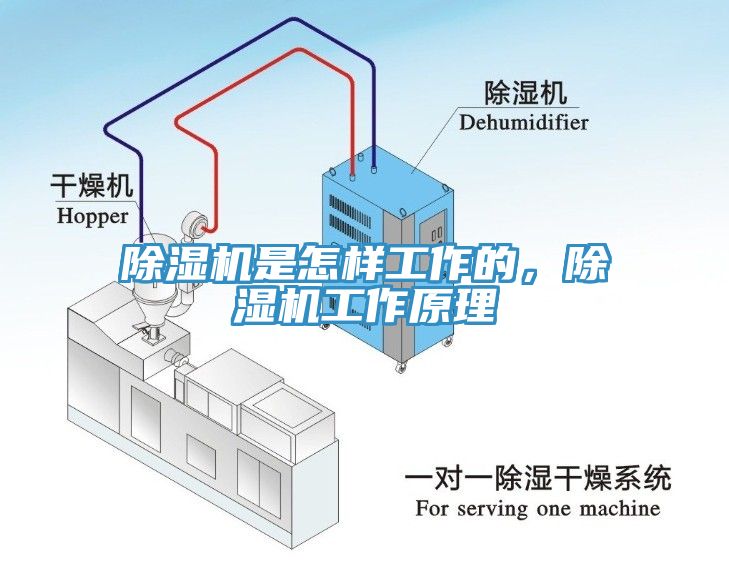 蕾丝视频污污污是怎样工作的，蕾丝视频污污污工作原理