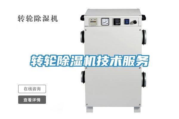 转轮蕾丝视频污污污技术服务