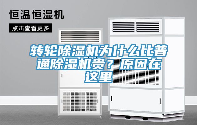 转轮蕾丝视频污污污为什么比普通蕾丝视频污污污贵？原因在这里