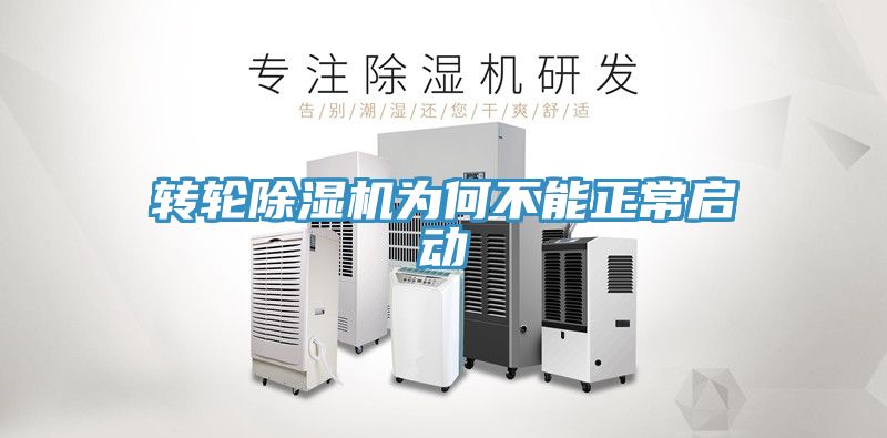 转轮蕾丝视频污污污为何不能正常启动