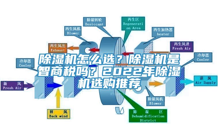 蕾丝视频污污污怎么选？蕾丝视频污污污是智商税吗？2022年蕾丝视频污污污选购推荐