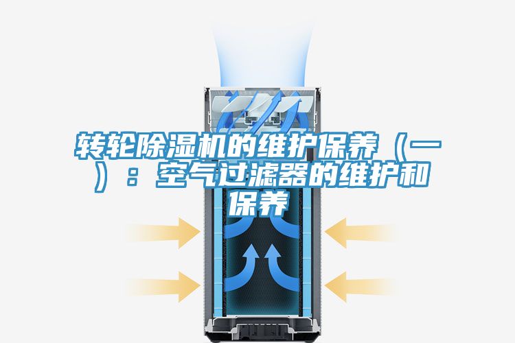 转轮蕾丝视频污污污的维护保养（一）：空气过滤器的维护和保养