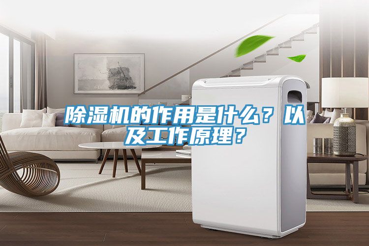 蕾丝视频污污污的作用是什么？以及工作原理？