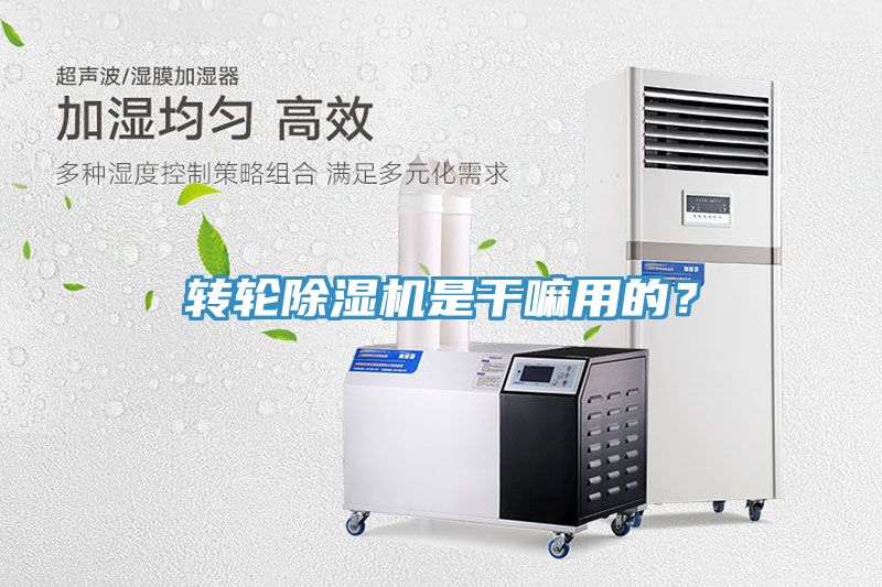 转轮蕾丝视频污污污是干嘛用的？