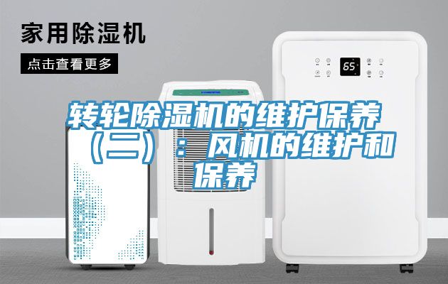 转轮蕾丝视频污污污的维护保养（二）：风机的维护和保养