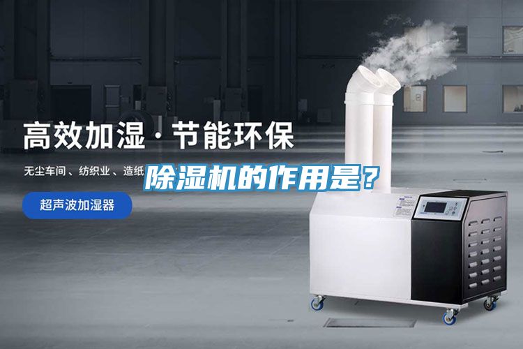 蕾丝视频污污污的作用是？