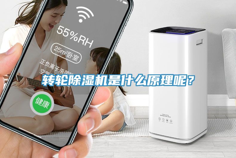 转轮蕾丝视频污污污是什么原理呢？