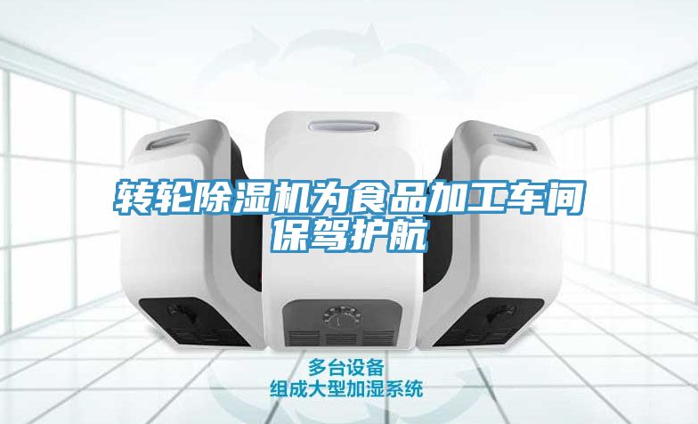 转轮蕾丝视频污污污为食品加工车间保驾护航