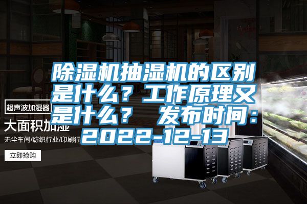 蕾丝视频污污污抽湿机的区别是什么？工作原理又是什么？ 发布时间：2022-12-13
