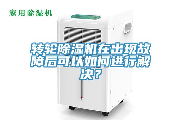 转轮蕾丝视频污污污在出现故障后可以如何进行解决？