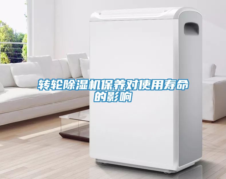 转轮蕾丝视频污污污保养对使用寿命的影响