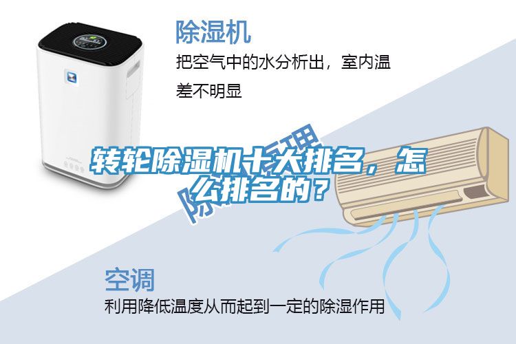 转轮蕾丝视频污污污十大排名，怎么排名的？