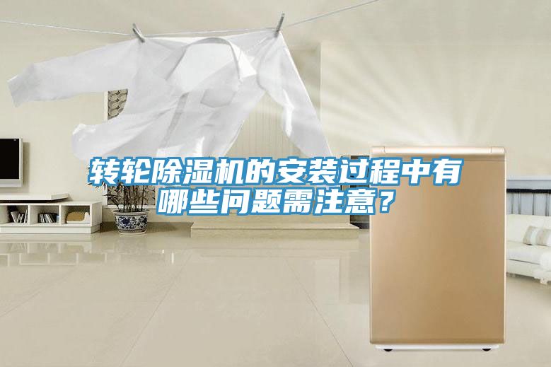 转轮蕾丝视频污污污的安装过程中有哪些问题需注意？